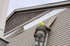 Best Historical Building Siding Restoration  in Venetian Vlage, IL